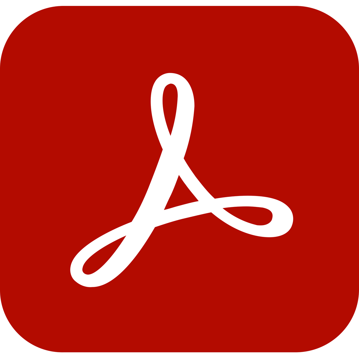 Acrobat Studio for teams