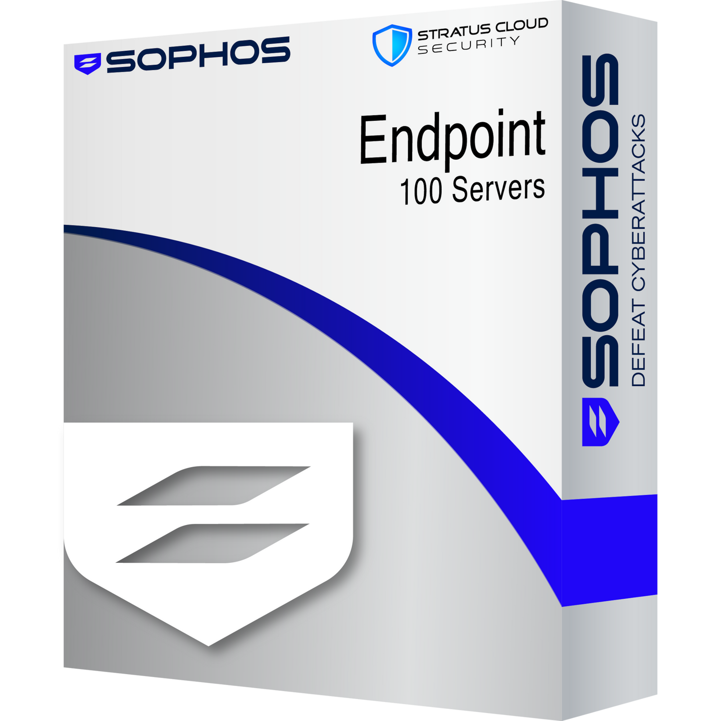 Endpoint 100 - Servers - 12 MOS - Renewal [EP100S12ZZRCAA]